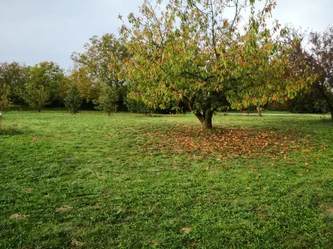 automne antre des vices